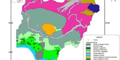 মানচিত্র, নাইজেরিয়া দেখাচ্ছে, গাছপালা